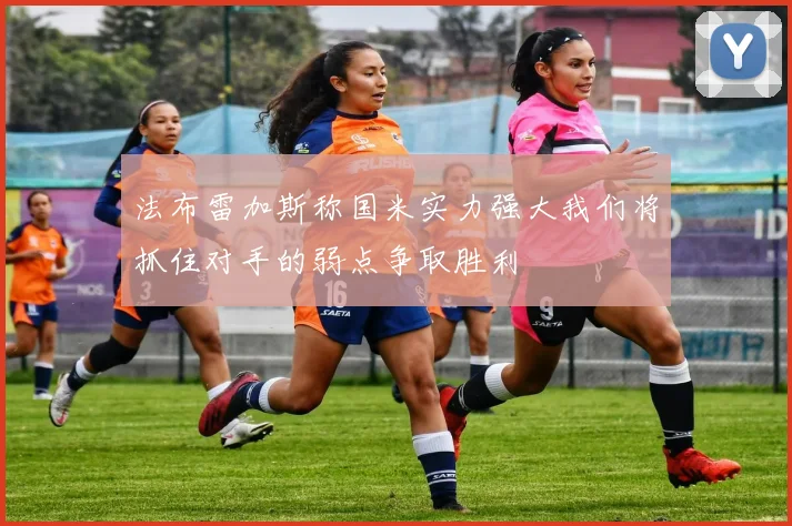 法布雷加斯称国米实力强大我们将抓住对手的弱点争取胜利