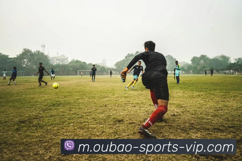 爱体育平台生态图